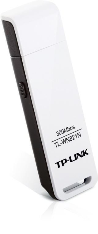 Karta sieciowa TP-LINK TL-WN821N