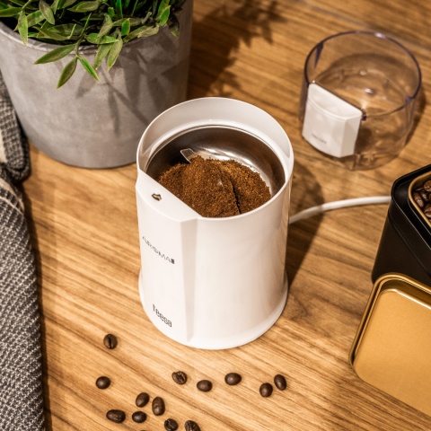 Młynek do Kawy Elektryczny Teesa Aroma G10 160W kompaktowy