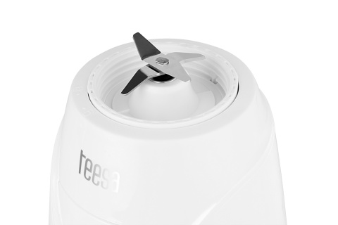 Blender personalny Teesa