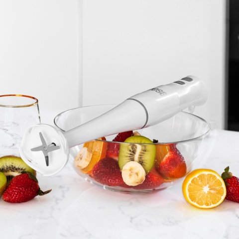 Blender ręczny Teesa 400W 16000 obrotów