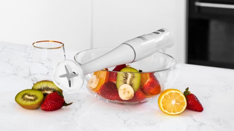 Blender ręczny Teesa 400W 16000 obrotów