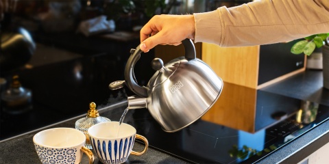 Czajnik ze stali nierdzewnej Teesa z gwizdkiem 2L gaz indukcja