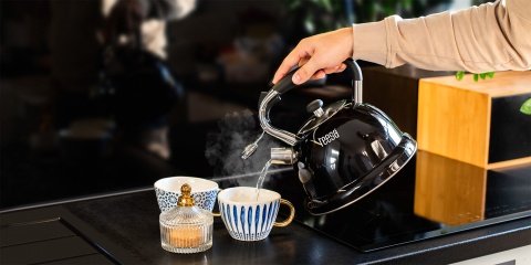 Czajnik ze stali nierdzewnej Teesa z gwizdkiem 3L gaz indukcja
