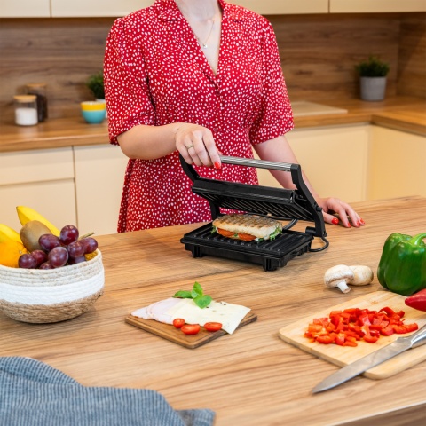 Opiekacz do kanapek panini grill toster sandwich 1000W 3 pozycje Teesa