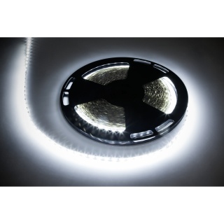 Taśma LED 25m kolor zimny biały 5050SMD 12V 5,6W sznur diodowy Rebel